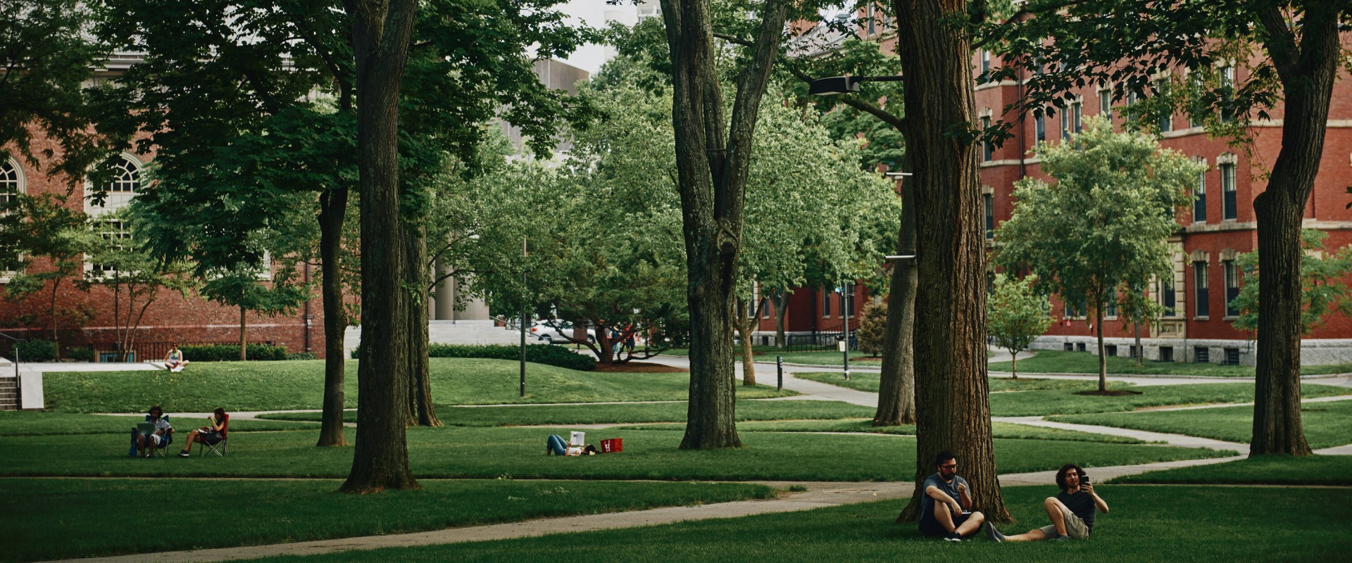 Admissions Criteria for Top Public Law Schools