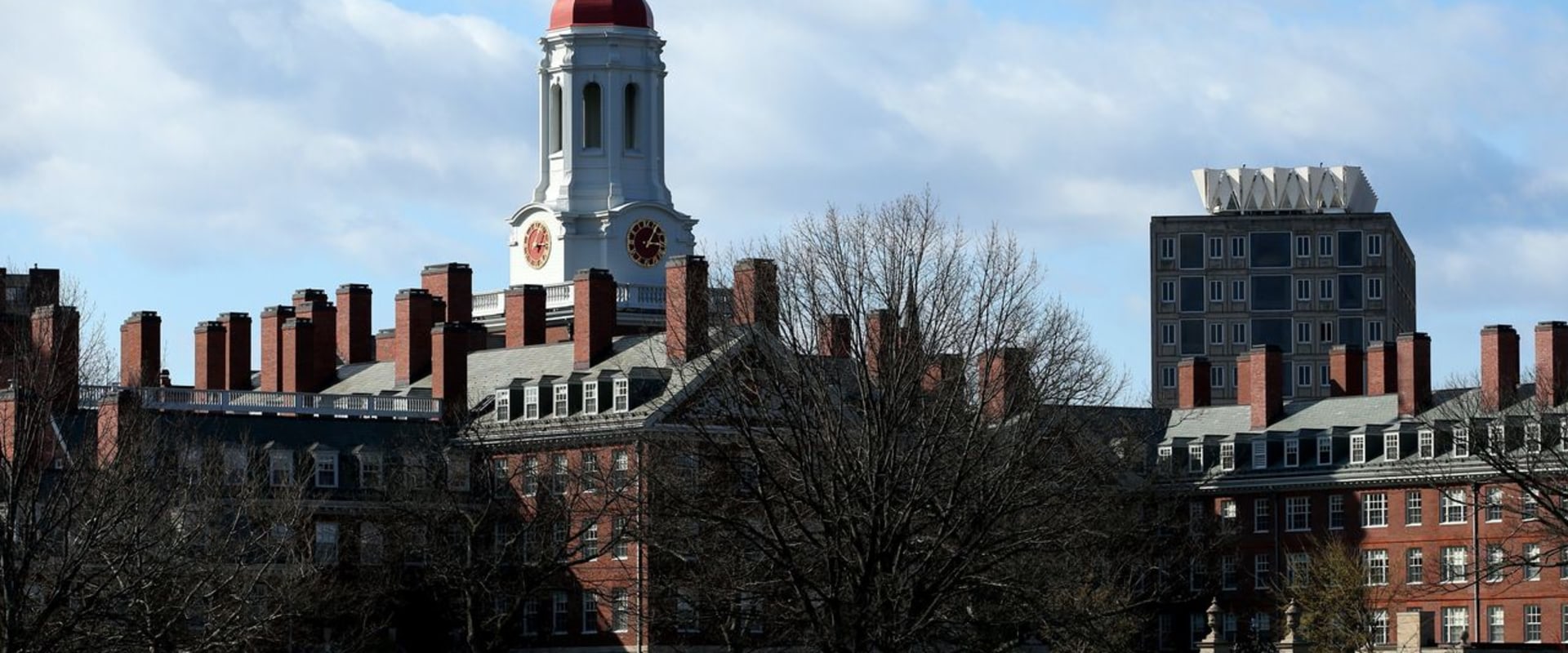 Overview of Ivy League Law Schools: Unlocking the Secrets of Prestigious Legal Education