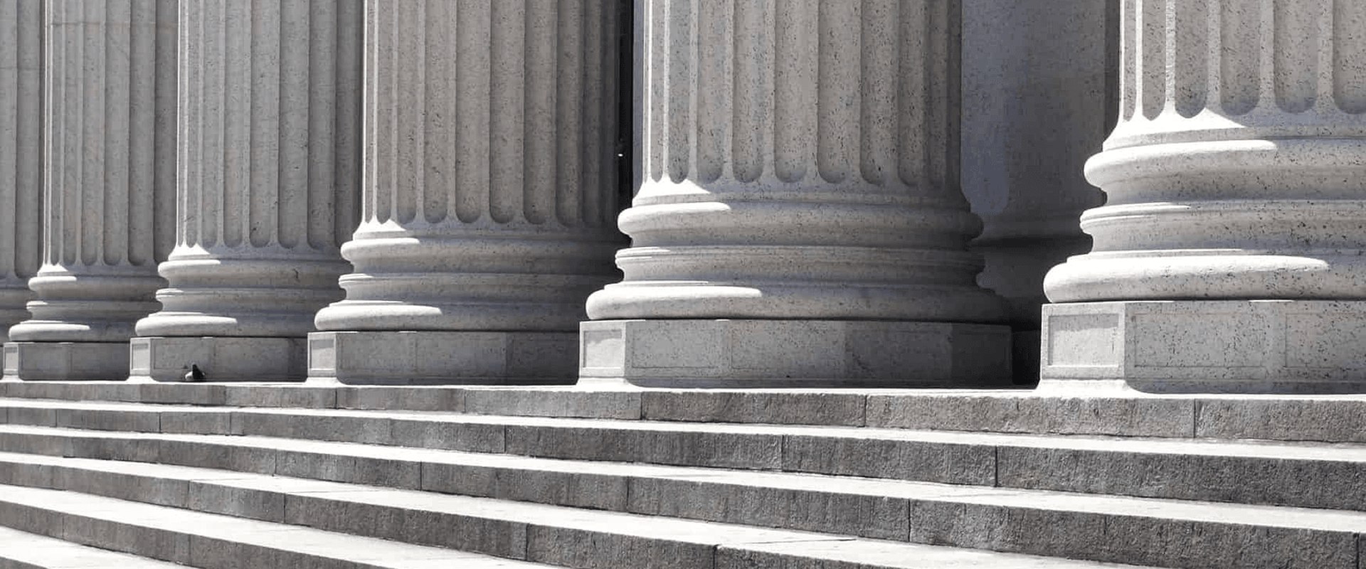 An Overview of Law School Curriculum and Coursework: Everything You Need to Know