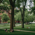 Admissions Criteria for Top Public Law Schools