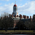 Overview of Ivy League Law Schools: Unlocking the Secrets of Prestigious Legal Education